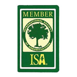 Member ISA Logo